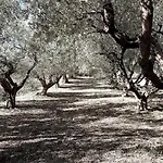 فندق مبيت وإفطار La Vecchia Scuola
