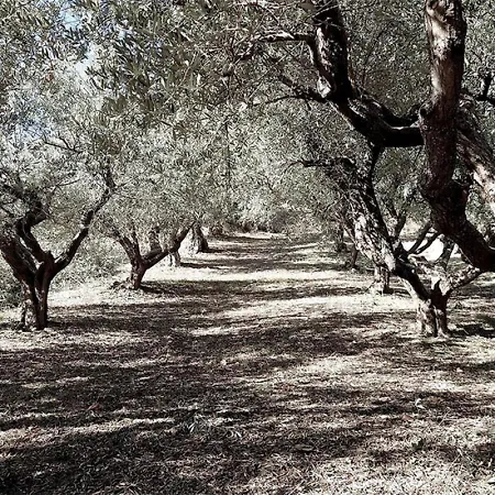 Bed & Breakfast La Vecchia Scuola